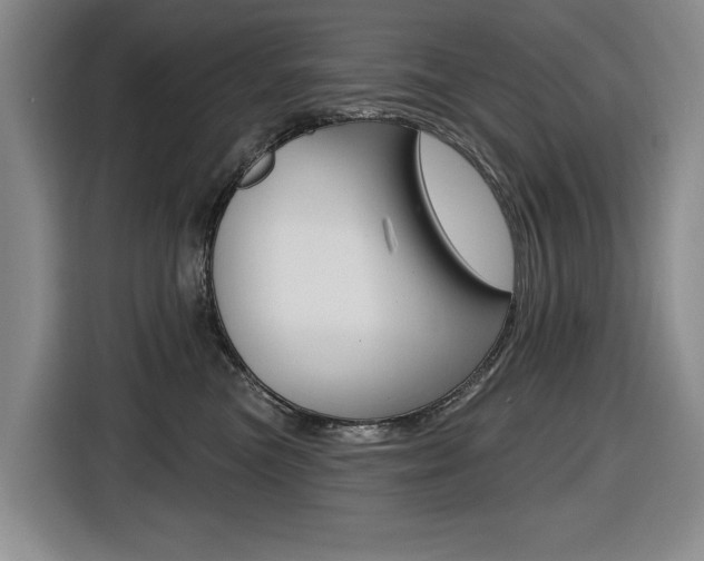 X0000116570473200912101007