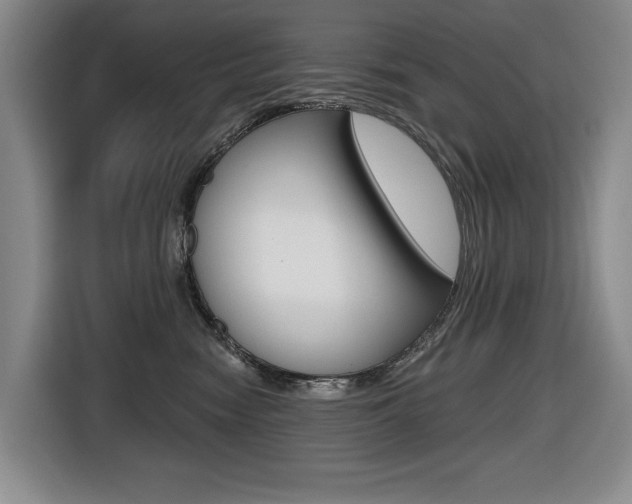 X0000116570474200912101007