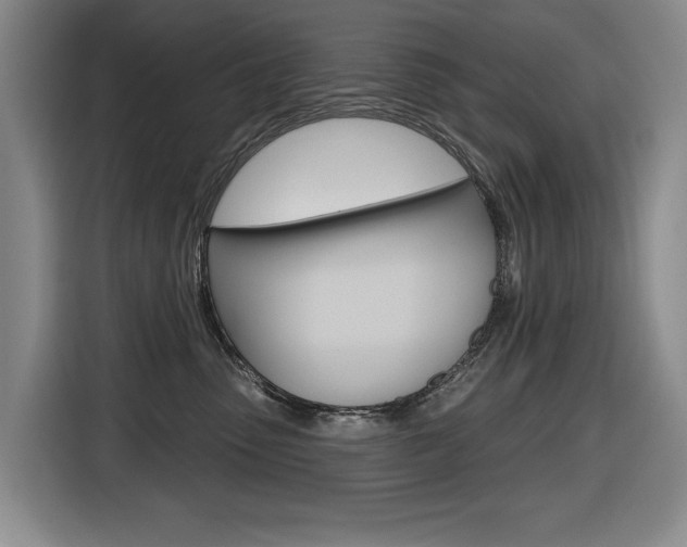 X0000116570475200912101007