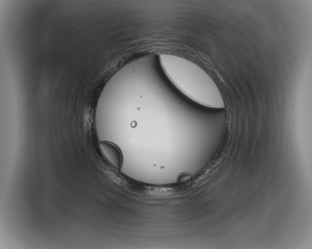 X0000116570476200912101007