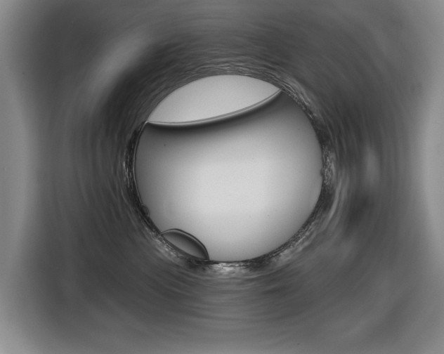 X0000116570477200912101007