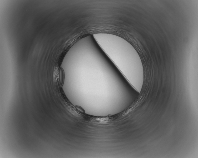 X0000116570478200912101007