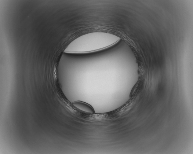 X0000116570479200912101007