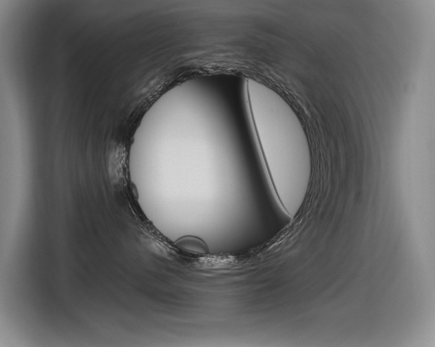 X0000116570480200912101007