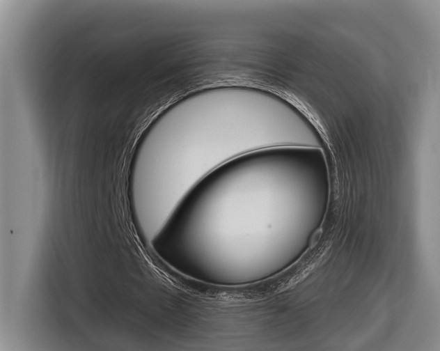 X0000116570481200912101006