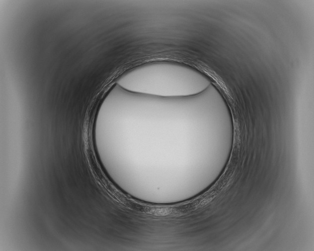 X0000116570482200912101006