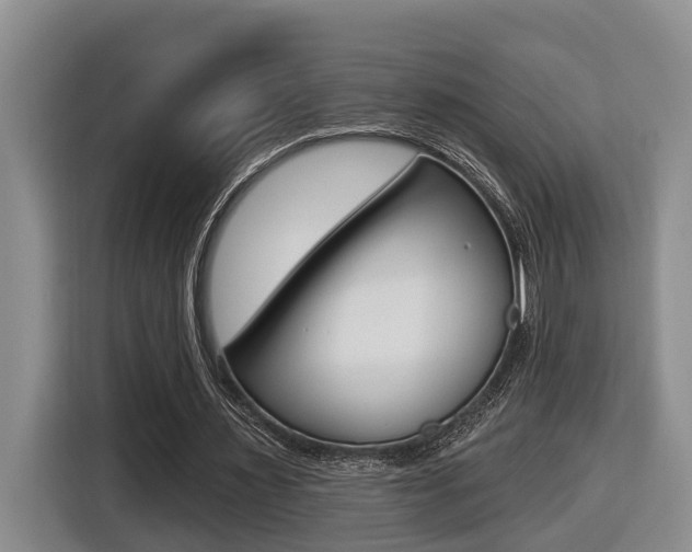 X0000116570483200912101006