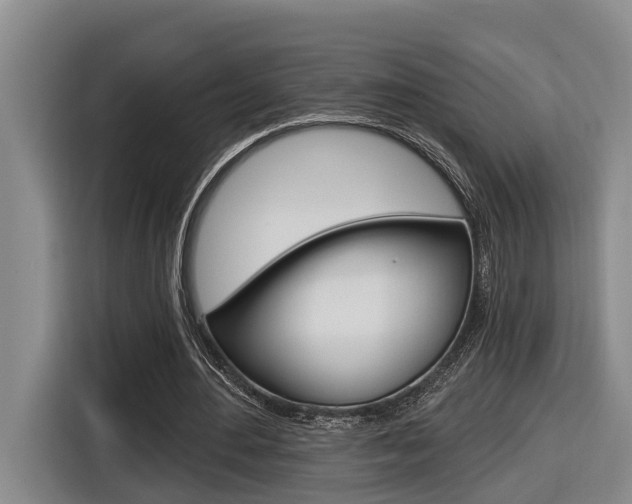 X0000116570484200912101006