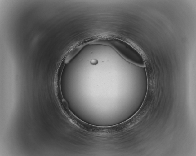 X0000116570485200912101006