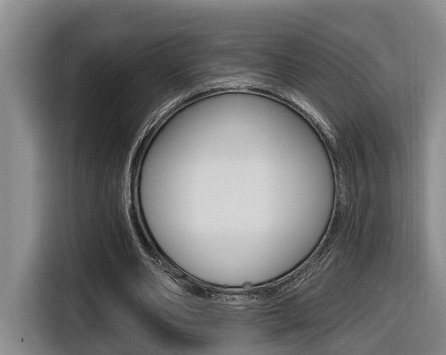 X0000116570486200912101006