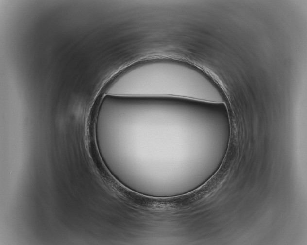 X0000116570487200912101006