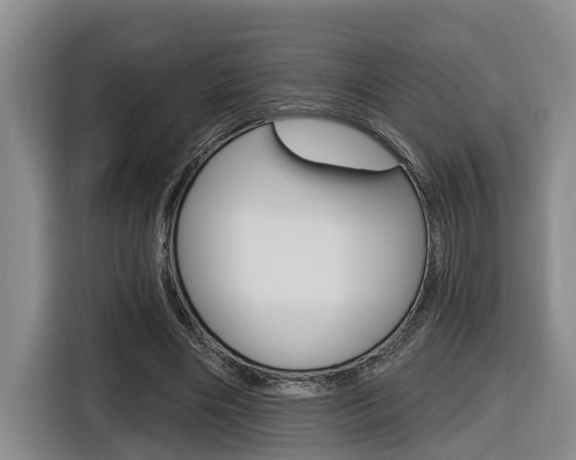 X0000116570490200912101006