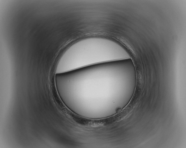 X0000116570491200912101006