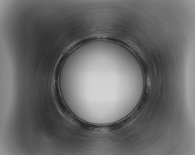 X0000116570492200912101006