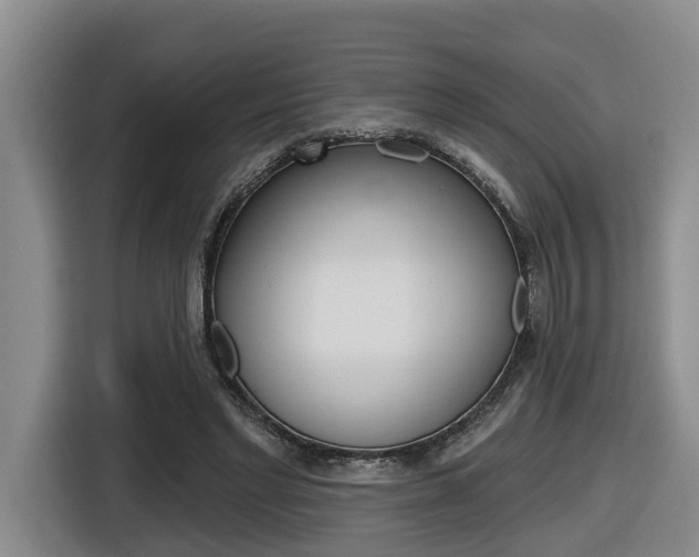 X0000116570493200912101006