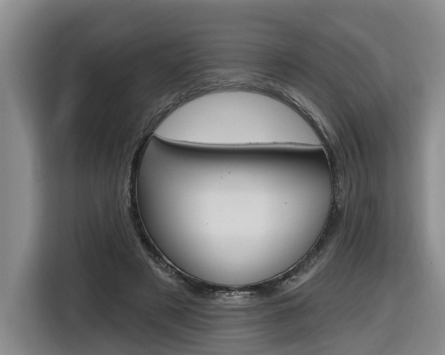 X0000116570497200912101006