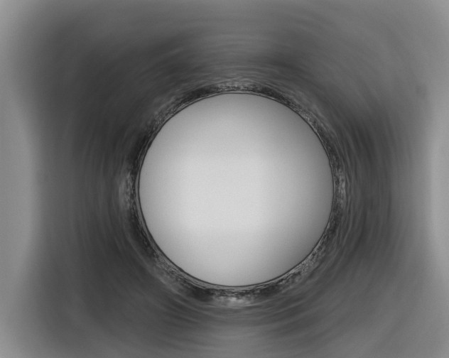 X0000116570498200912101006