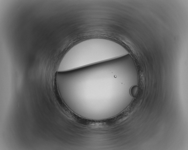 X0000116570499200912101006