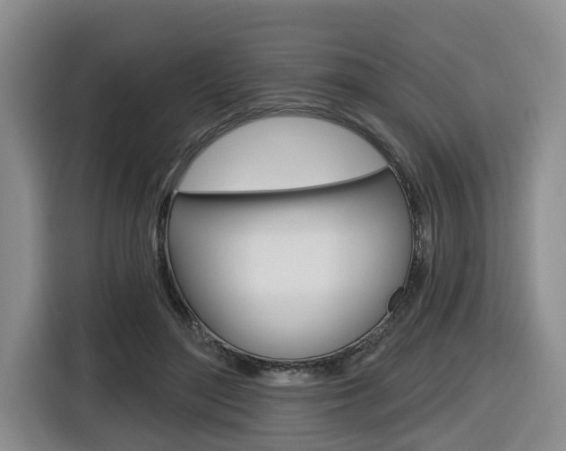 X0000116570500200912101006