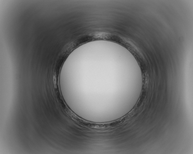 X0000116570502200912101006