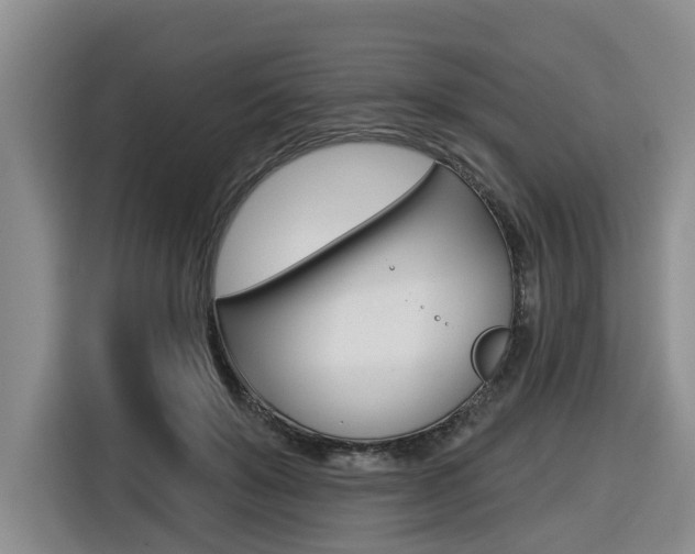 X0000116570503200912101006