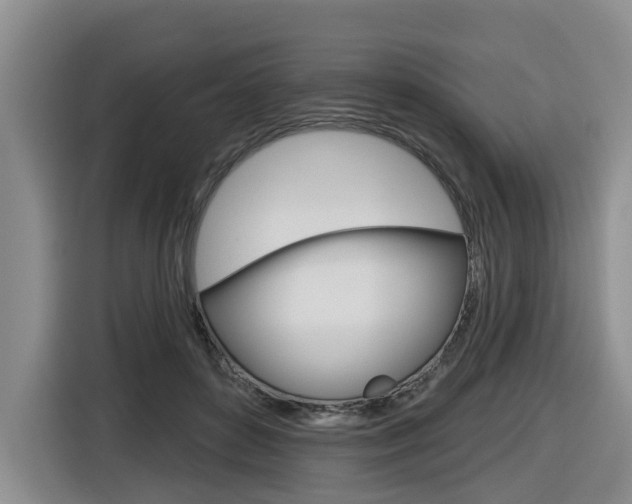 X0000116570504200912101006