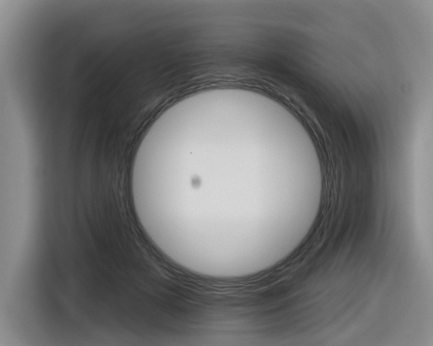 X0000116570505200912101006