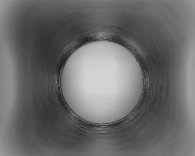 X0000116570506200912101006