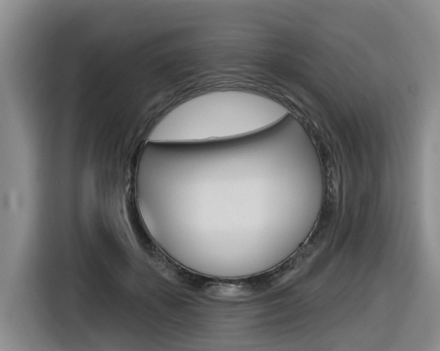 X0000116570507200912101006