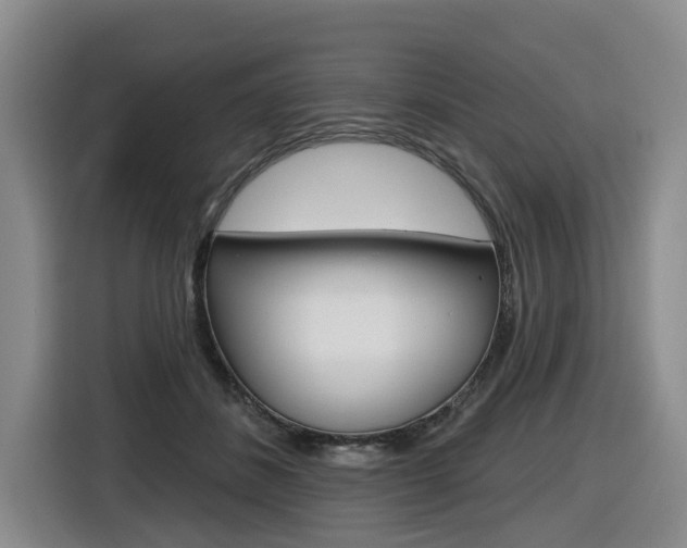 X0000116570508200912101006