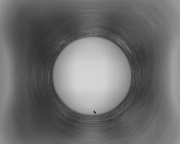 X0000116570509200912101006