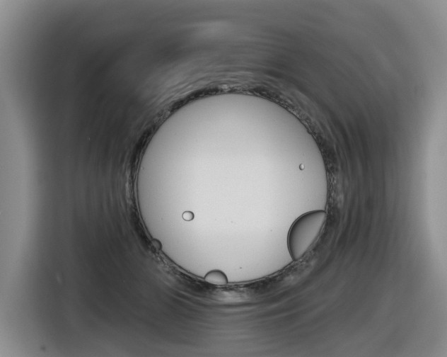 X0000116570510200912101006