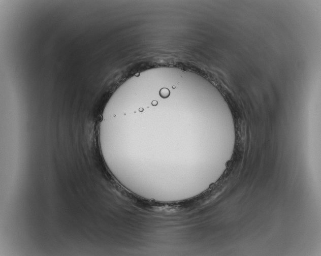 X0000116570511200912101006