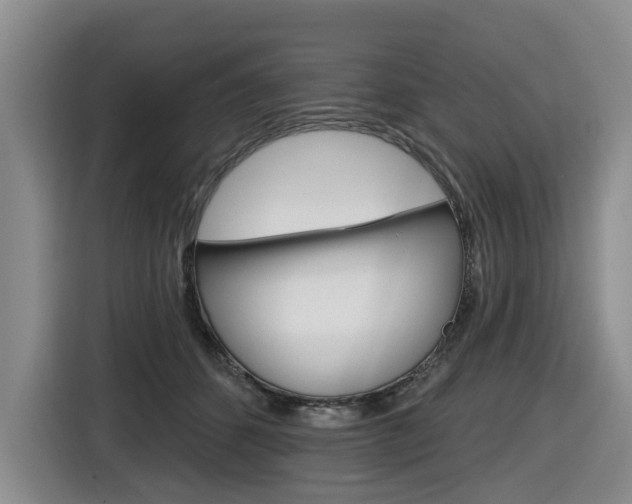 X0000116570512200912101006