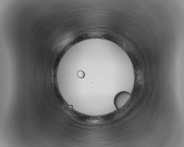 X0000116570514200912101006