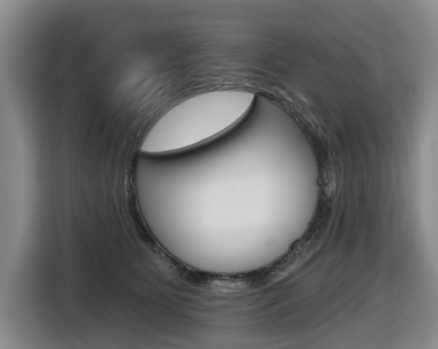 X0000116570515200912101006