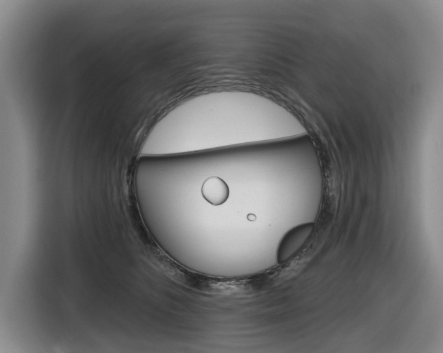 X0000116570516200912101006