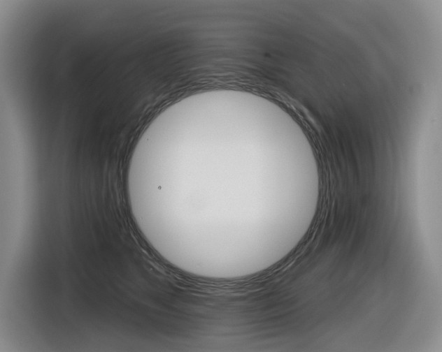 X0000116570517200912101006