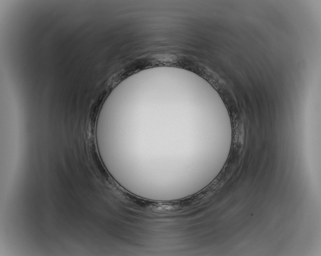 X0000116570518200912101006