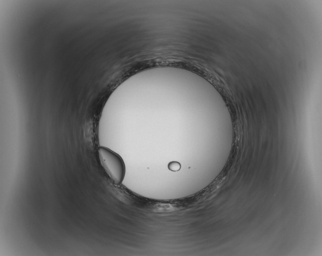 X0000116570519200912101006