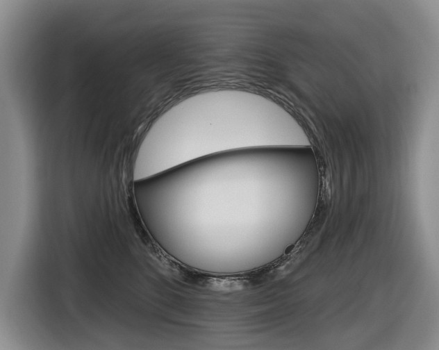 X0000116570520200912101006