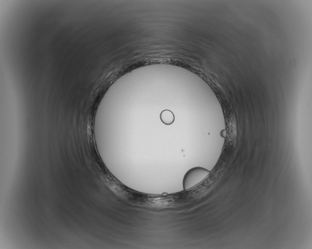 X0000116570522200912101006