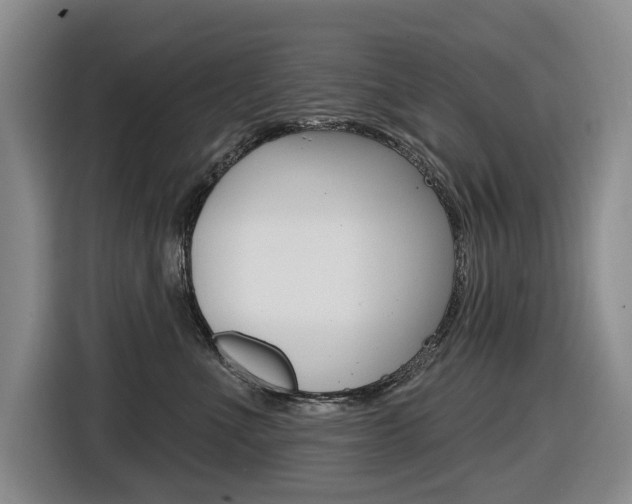 X0000116570523200912101006