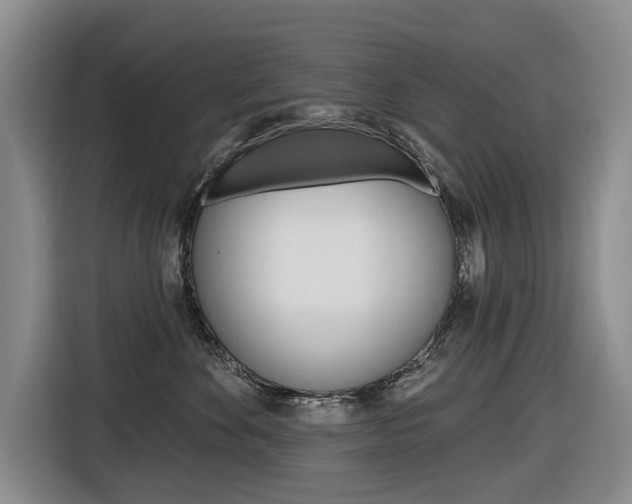 X0000116570524200912101006