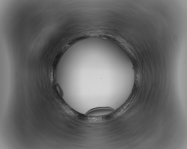 X0000116570525200912101006