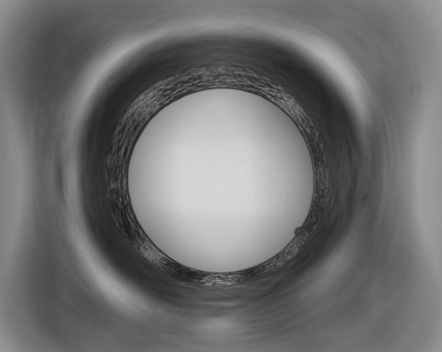 X0000116570526200912101006