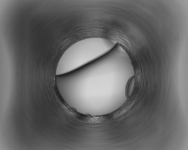 X0000116570527200912101006