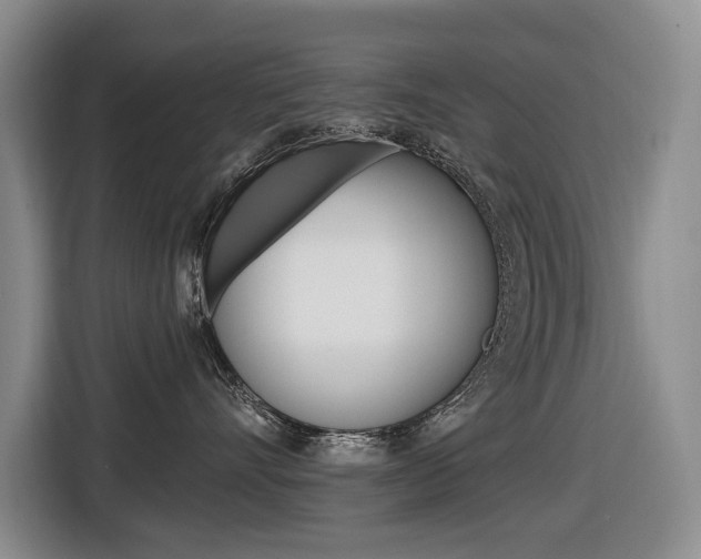 X0000116570528200912101006