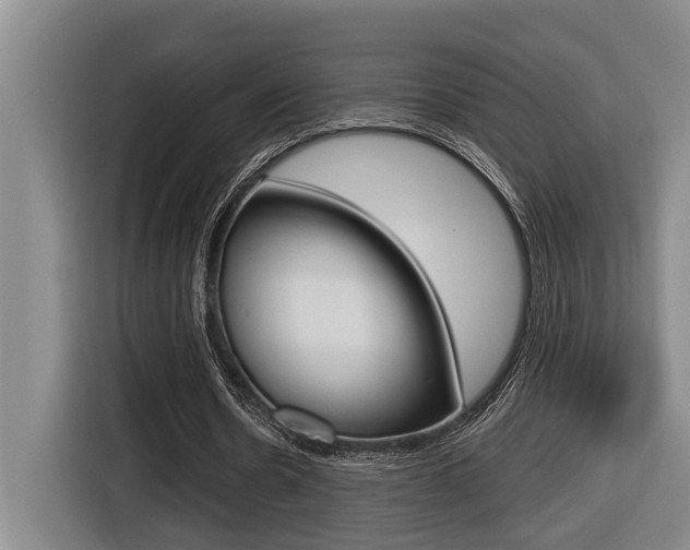 X0000116570530200912101005