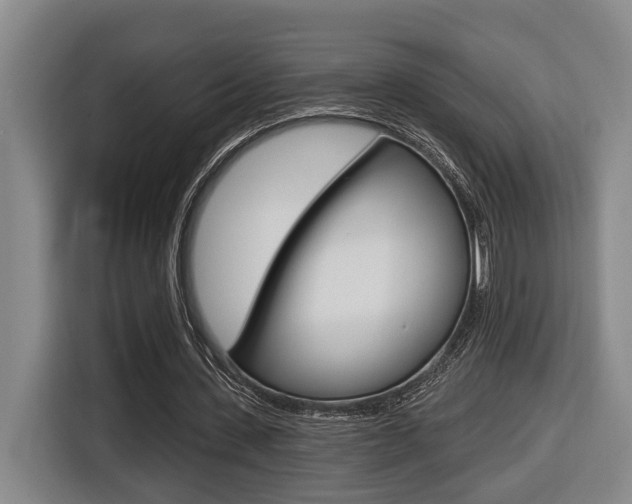 X0000116570531200912101005